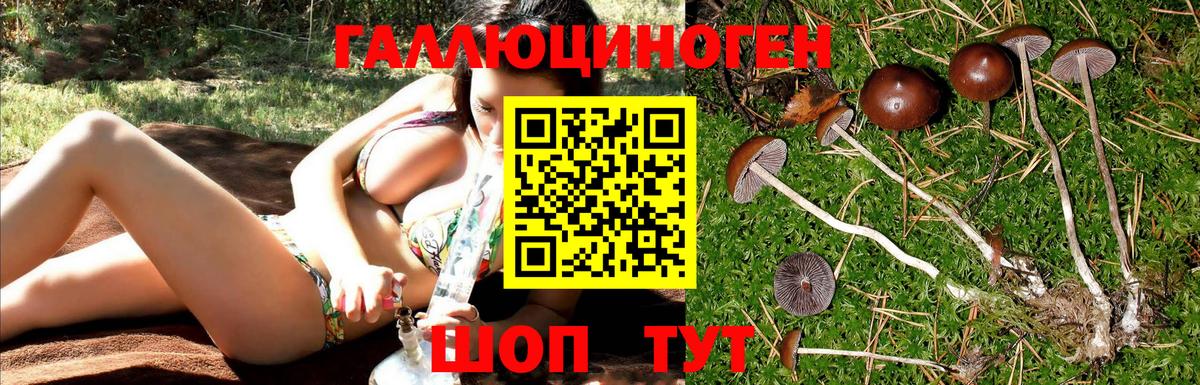 Псилоцибиновые грибы ЛСД Чусовой