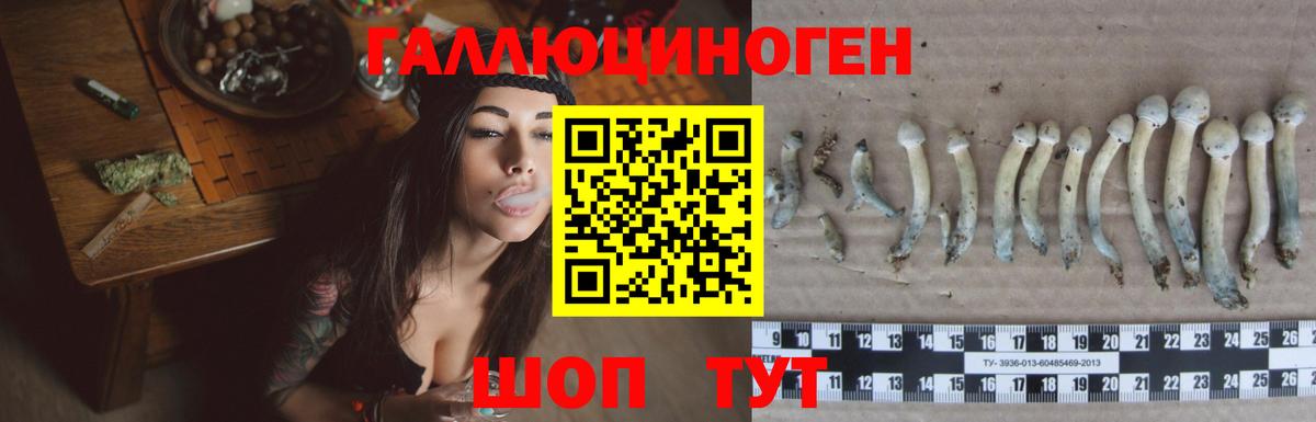 Галлюциногенные грибы MAGIC MUSHROOMS  Вход с VPN  Чусовой 
